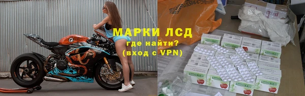 стаф Аркадак