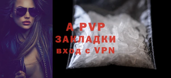 стаф Аркадак