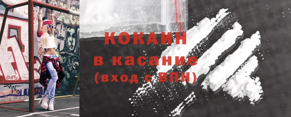 стаф Аркадак