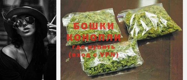 стаф Аркадак
