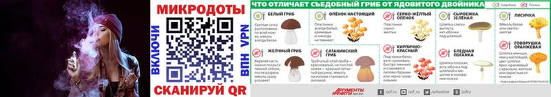 Галлюциногенные грибы Cubensis  сколько стоит  Кашин 