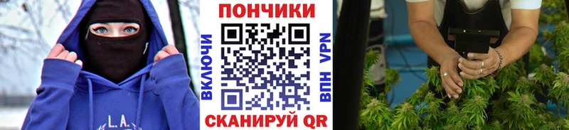Бошки марихуана марихуана  цены   ОМГ ОМГ   Кашин 